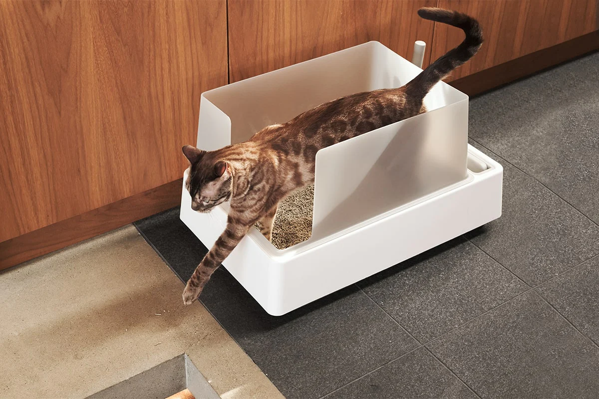 Tuft and Paw Cove litter Box Review: The Perfect Combination of Functionality and Style