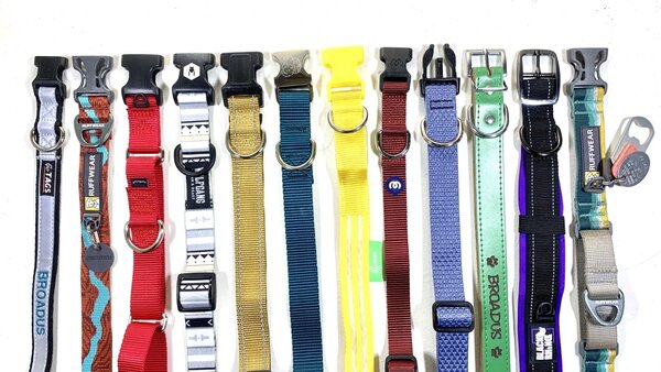 BEST DOG COLLARS OF 2023: TOP RATED DOG COLLAR FOR LARGE AND SMALL DOGS