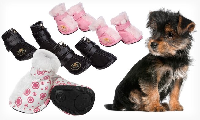 BEST DOG SHOES OF 2023: Protect Your Pet's Paws with These Top-Rated Dog Boots